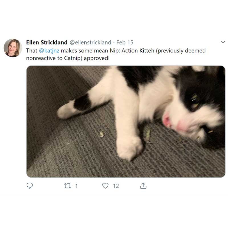 Action Kitteh A tweet that reads "That @katjnz makes some mean Nip: Action Kitteh (previously deemed nonreactive to Catnip) approved! With a photo of a deranged tuxedo cat surrounded by dried catnip.