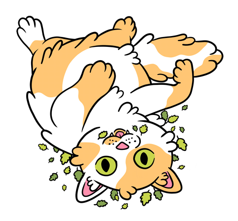Kat's Nip mascot - an orange and white cat with green eyes getting very high on catnip.