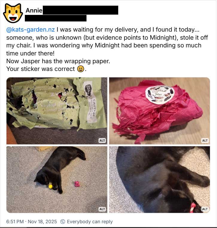Customer report of a truly trashed Kat's Nip delivery.