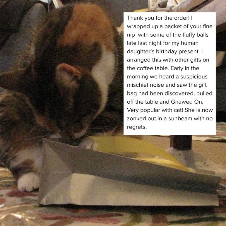 Customer email of a cat getting into the birthday gifts.